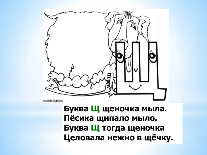 Буква Щ щеночка мыла. Пёсика щипало мыло. Буква Щ тогда щеночка Целовала нежно в щёчку.