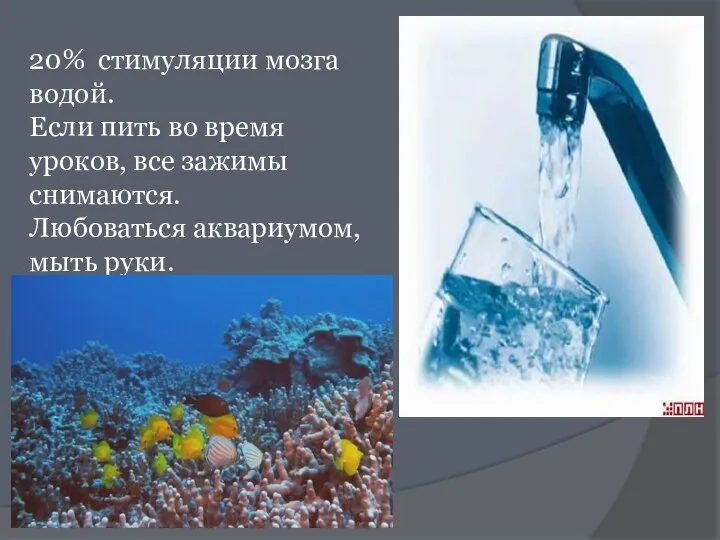 20% стимуляции мозга водой. Если пить во время уроков, все зажимы снимаются. Любоваться аквариумом, мыть руки.