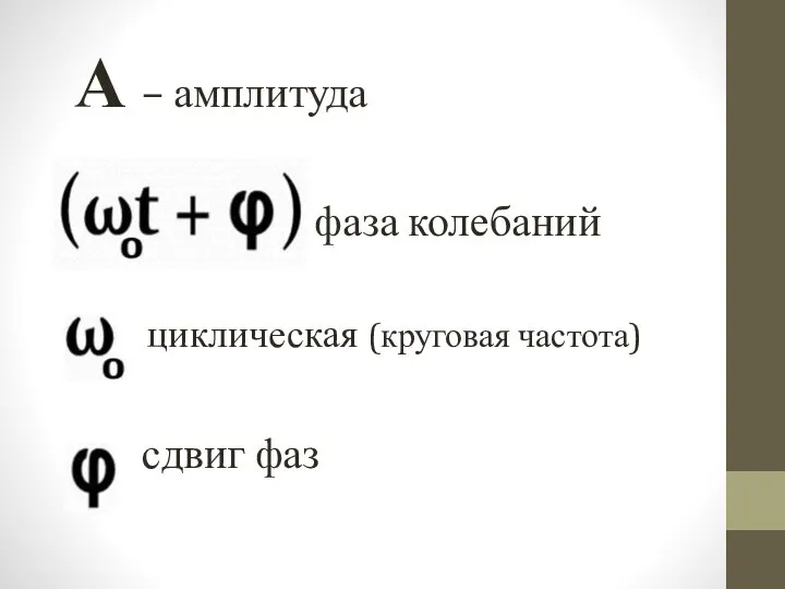 А – амплитуда фаза колебаний циклическая (круговая частота) сдвиг фаз