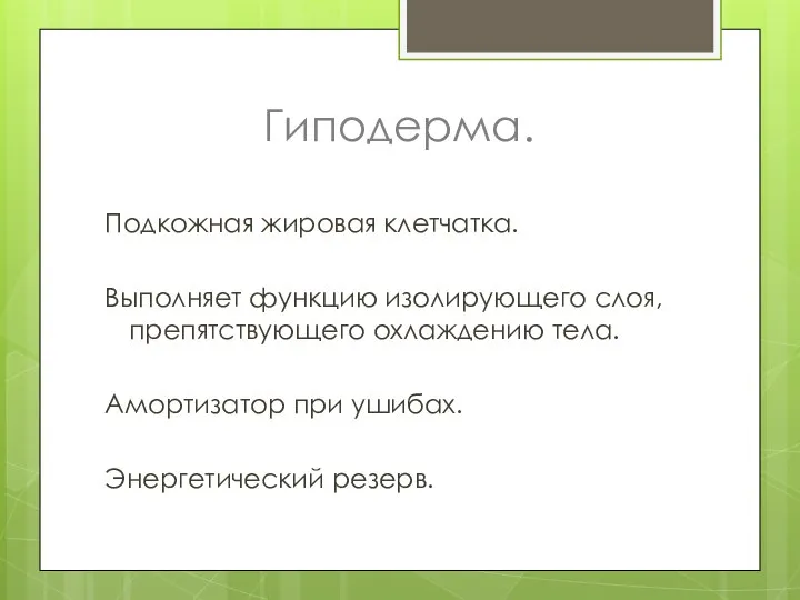 Гиподерма. Подкожная жировая клетчатка. Выполняет функцию изолирующего слоя, препятствующего охлаждению тела. Амортизатор при ушибах. Энергетический резерв.