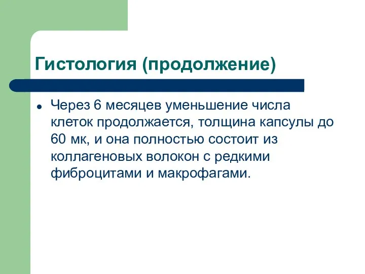 Гистология (продолжение) Через 6 месяцев уменьшение числа клеток продолжается, толщина капсулы до