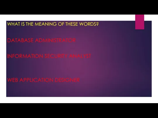 WHAT IS THE MEANING OF THESE WORDS? DATABASE ADMINISTRATOR INFORMATION SECURITY ANALYST WEB APPLICATION DESIGNER