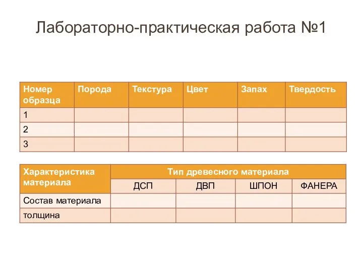 Лабораторно-практическая работа №1