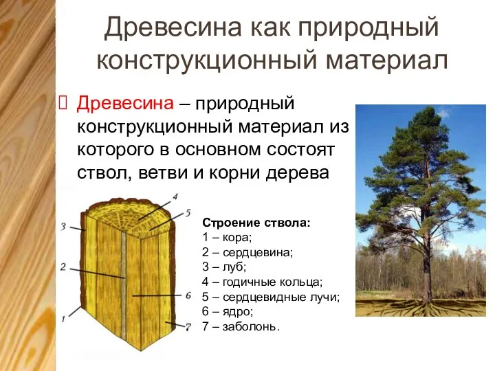 Древесина как природный конструкционный материал Древесина – природный конструкционный материал из которого