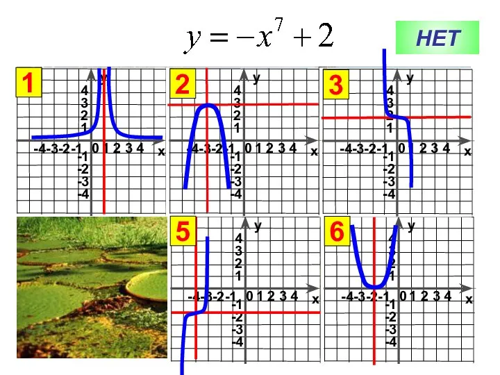 НЕТ 1 3 6 2 5