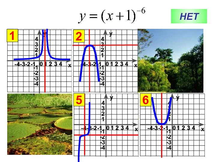 НЕТ 1 6 2 5