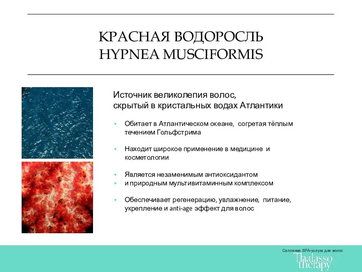 КРАСНАЯ ВОДОРОСЛЬ HYPNEA MUSCIFORMIS Салонная SPA-услуга для волос Источник великолепия волос, скрытый