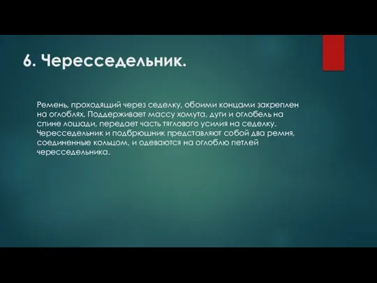 6. Чересседельник. Ремень, проходящий через седелку, обоими концами закреплен на оглоблях. Поддерживает