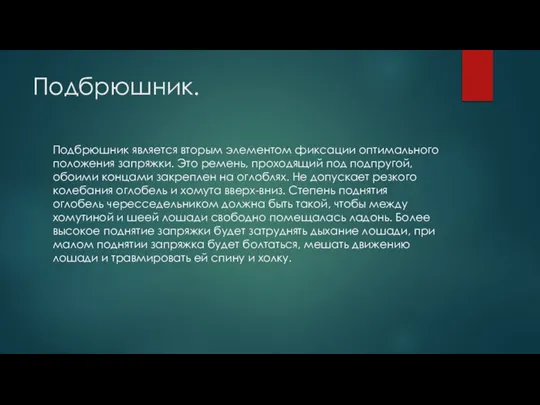 Подбрюшник. Подбрюшник является вторым элементом фиксации оптимального положения запряжки. Это ремень, проходящий