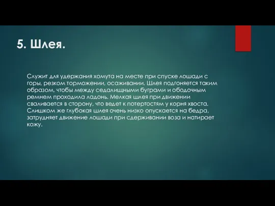 5. Шлея. Служит для удержания хомута на месте при спуске лошади с