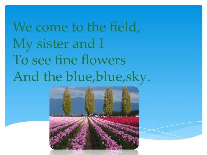 We come to the field, My sister and I To see fine flowers And the blue,blue,sky.