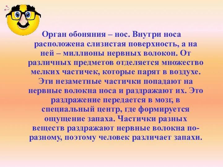 Орган обоняния – нос. Внутри носа расположена слизистая поверхность, а на ней