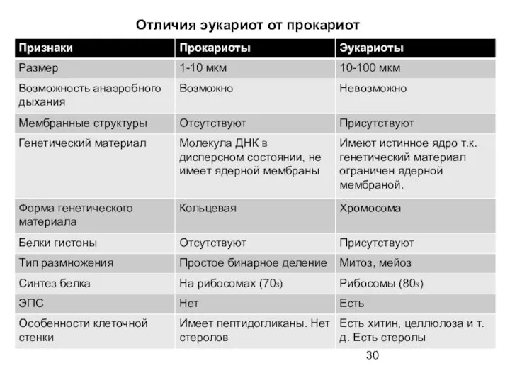 Отличия эукариот от прокариот