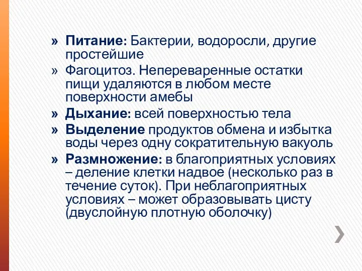 Питание: Бактерии, водоросли, другие простейшие Фагоцитоз. Непереваренные остатки пищи удаляются в любом