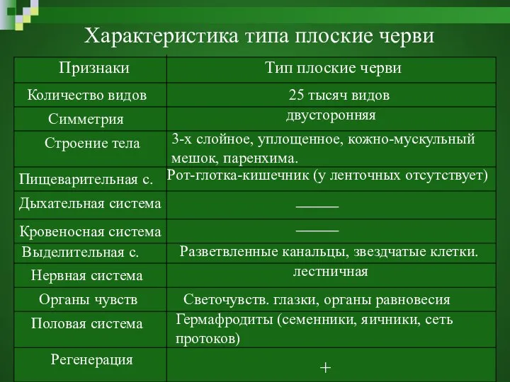 Характеристика типа плоские черви Признаки Тип плоские черви Количество видов Симметрия Строение