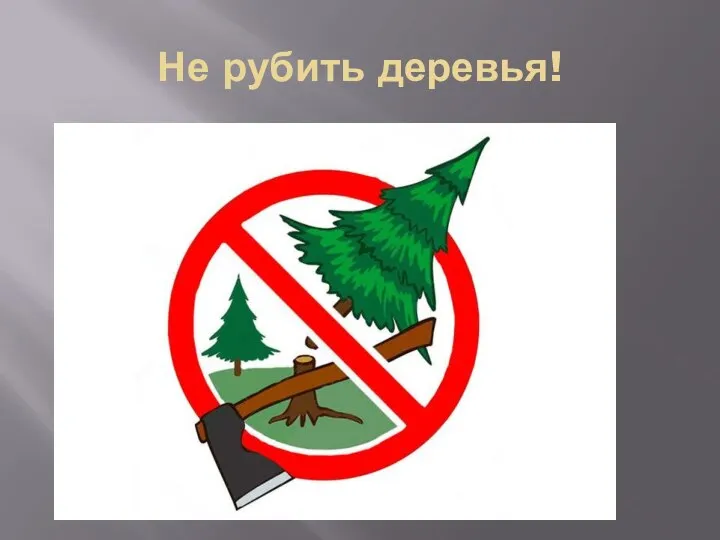 Не рубить деревья!