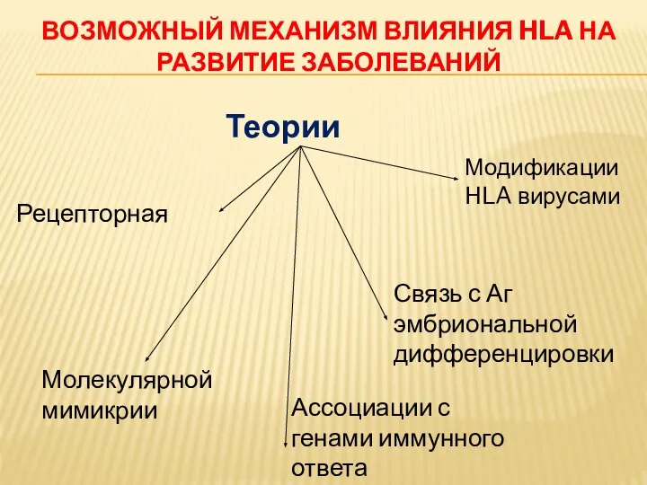 ВОЗМОЖНЫЙ МЕХАНИЗМ ВЛИЯНИЯ HLA НА РАЗВИТИЕ ЗАБОЛЕВАНИЙ Теории Рецепторная Молекулярной мимикрии Ассоциации