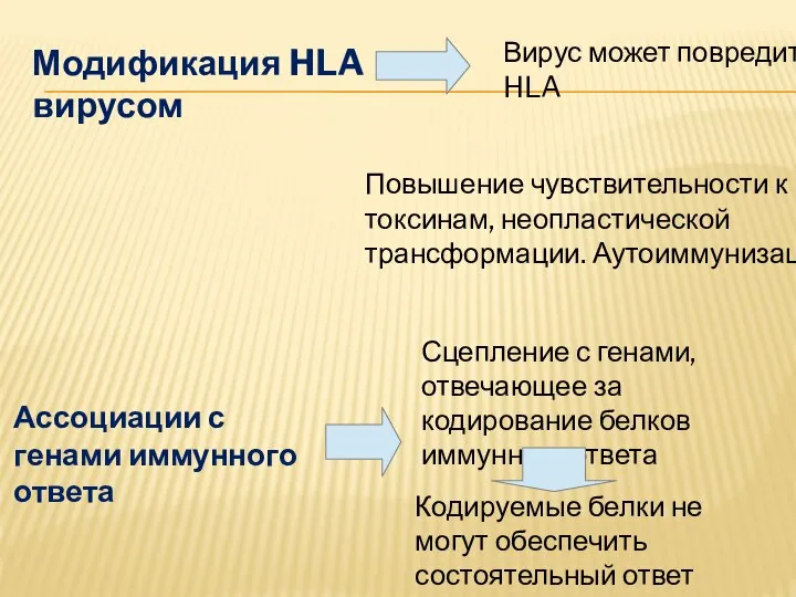 Модификация HLA вирусом Вирус может повредить HLA Повышение чувствительности к токсинам, неопластической