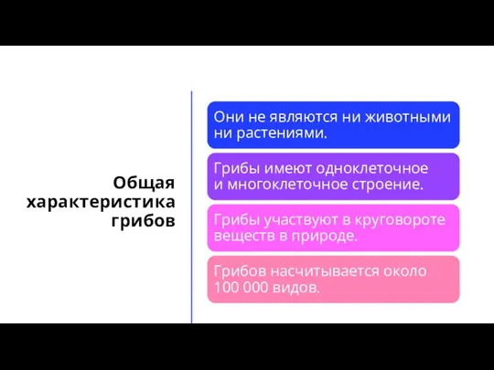 Общая характеристика грибов