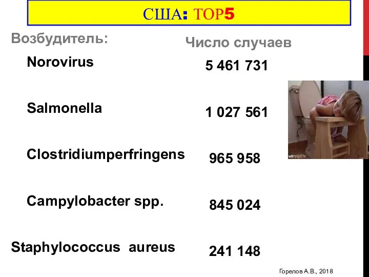США: ТОР5 Возбудитель: Norovirus Salmonella Clostridiumperfringens Campylobacter spp. Staphylococcus aureus Число случаев