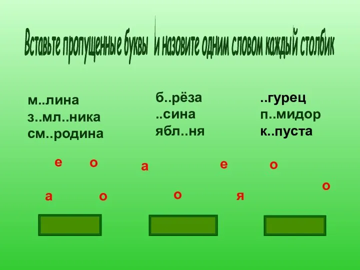 м..лина з..мл..ника см..родина б..рёза ..сина ябл..ня ..гурец п..мидор к..пуста ягоды а я