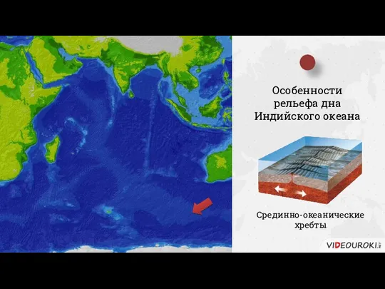 Особенности рельефа дна Индийского океана Срединно-океанические хребты