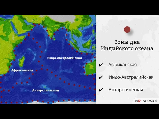 Зоны дна Индийского океана Африканская Индо-Австралийская Антарктическая Африканская Индо-Австралийская Антарктическая