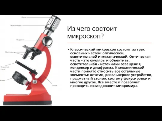 Из чего состоит микроскоп? Классический микроскоп состоит из трех основных частей: оптической,