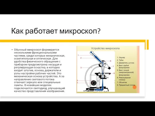 Как работает микроскоп? Обычный микроскоп формируется несколькими функциональными частями, среди которых механическая,