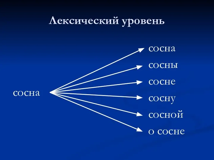 Лексический уровень сосна сосны сосне сосну сосной о сосне сосна