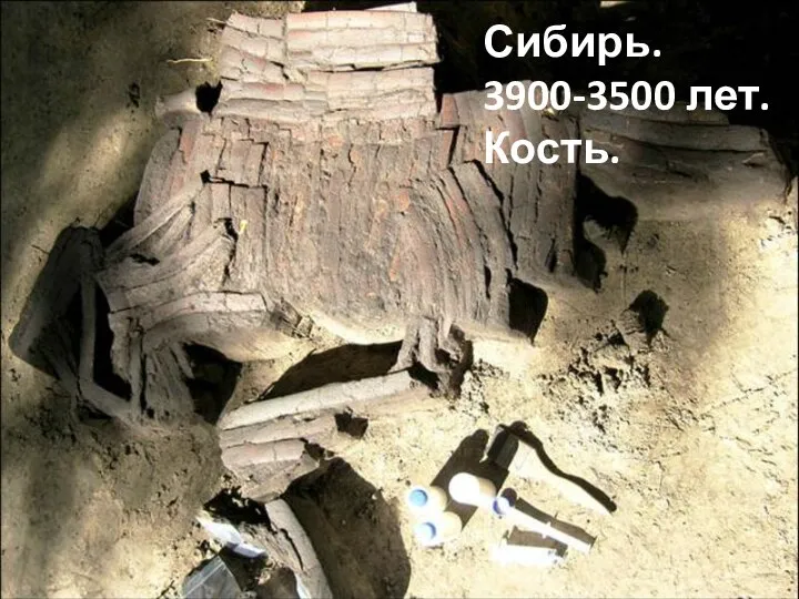 Сибирь. 3900-3500 лет. Кость.
