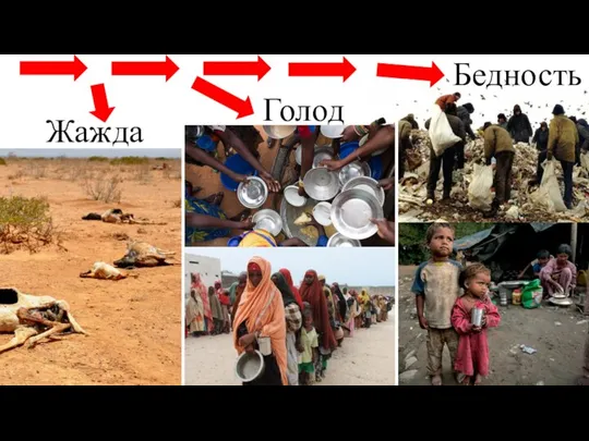 Голод Жажда Бедность