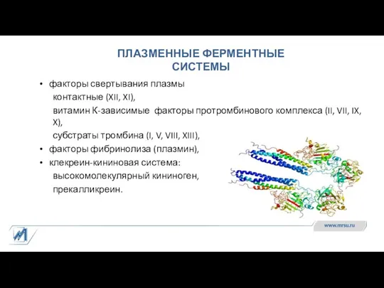 ПЛАЗМЕННЫЕ ФЕРМЕНТНЫЕ СИСТЕМЫ факторы свертывания плазмы контактные (XII, XI), витамин К-зависимые факторы