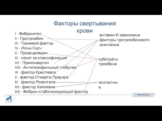 Факторы свертывания крови I - Фибриноген II - Протромбин III - Тканевой