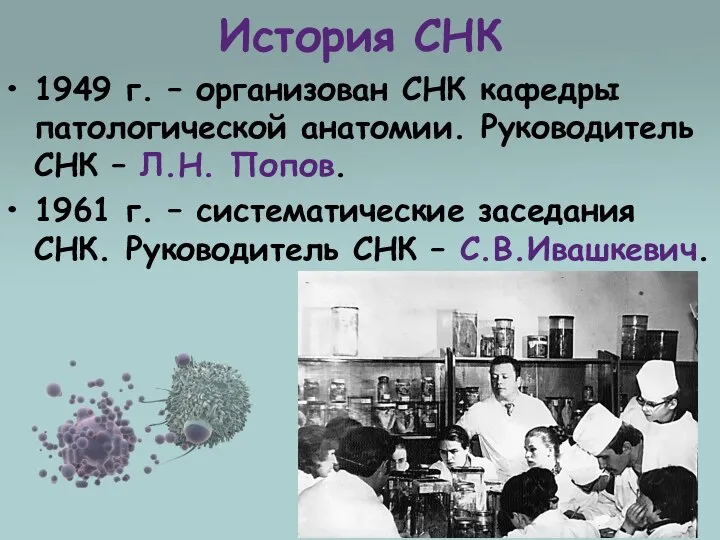 История СНК 1949 г. – организован СНК кафедры патологической анатомии. Руководитель СНК