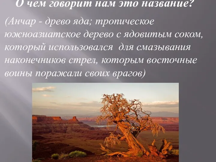 (Анчар - древо яда; тропическое южноазиатское дерево с ядовитым соком, который использовался