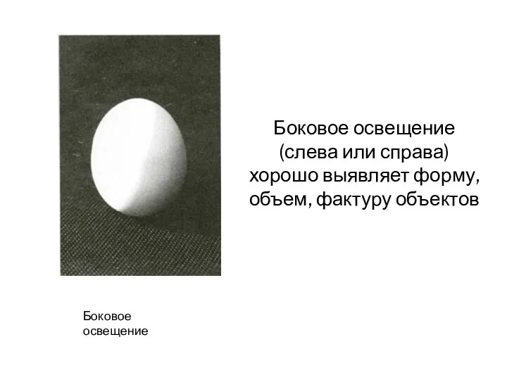 Боковое освещение Боковое освещение (слева или справа) хорошо выявляет форму, объем, фактуру объектов