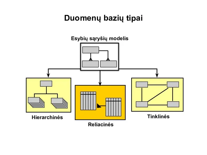 Duomenų bazių tipai Hierarchinės Reliacinės Tinklinės Esybių sąryšių modelis