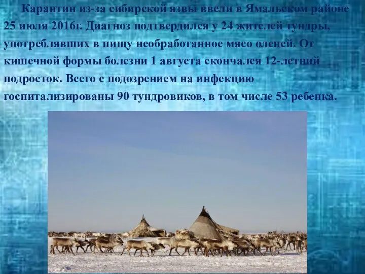 Карантин из-за сибирской язвы ввели в Ямальском районе 25 июля 2016г. Диагноз