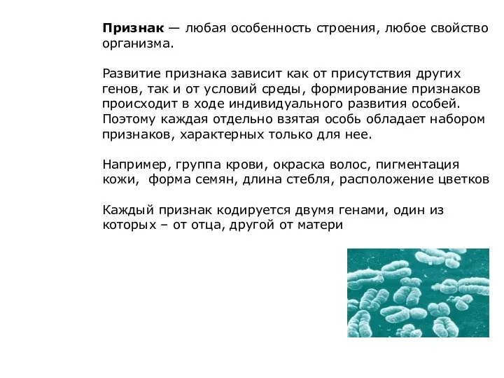 Признак — любая особенность строения, любое свойство организма. Развитие признака зависит как