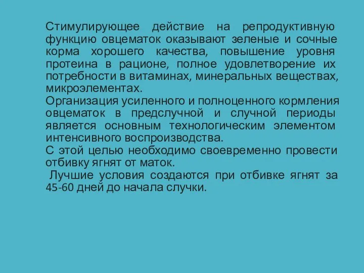 Стимулирующее действие на репродуктивную функцию овцематок оказывают зеленые и сочные корма хорошего