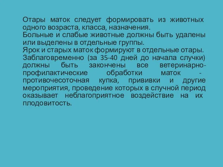 Отары маток следует формировать из животных одного возраста, класса, назначения. Больные и