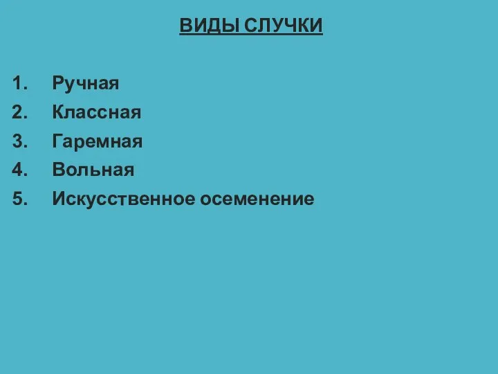 ВИДЫ СЛУЧКИ Ручная Классная Гаремная Вольная Искусственное осеменение