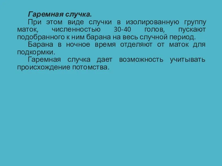 Гаремная случка. При этом виде случки в изолированную группу маток, численностью 30-40