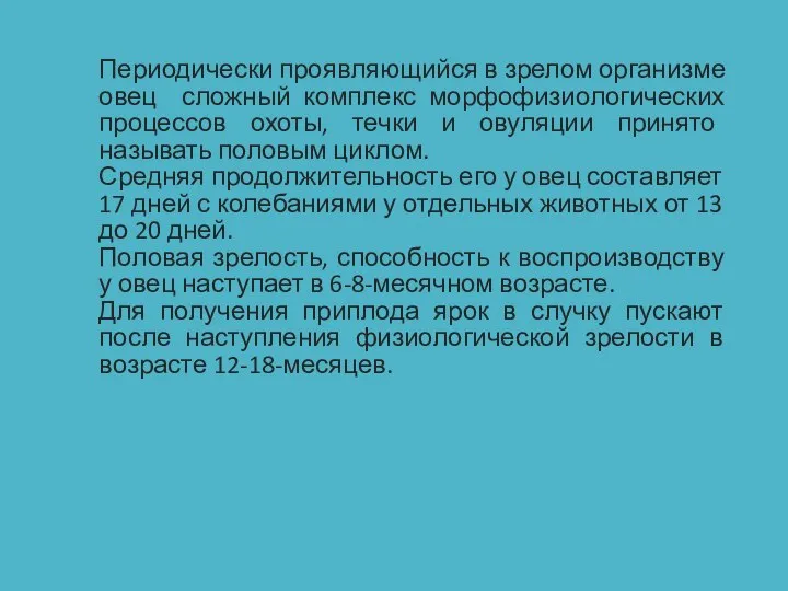 Периодически проявляющийся в зрелом организме овец сложный комплекс морфофизиологических процессов охоты, течки