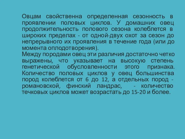 Овцам свойственна определенная сезонность в проявлении половых циклов. У домашних овец продолжительность