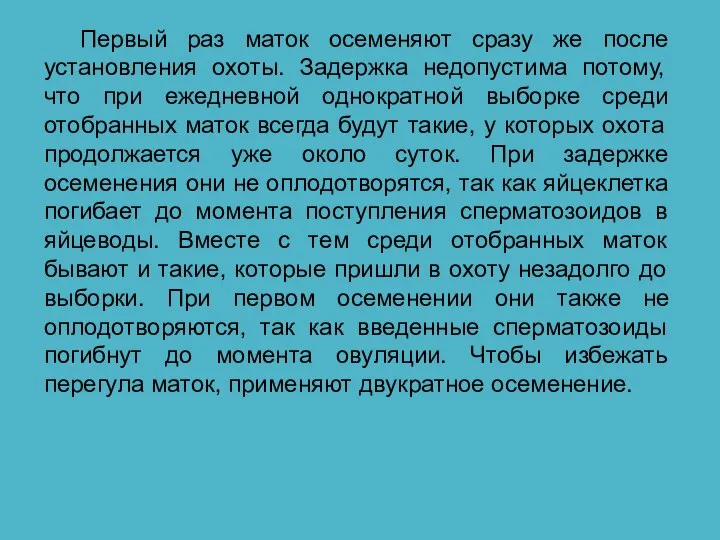 Первый раз маток осеменяют сразу же после установления охоты. Задержка недопустима потому,