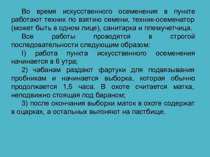 Во время искусственного осеменения в пункте работают техник по взятию семени, техник-осеменатор