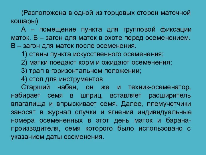 (Расположена в одной из торцовых сторон маточной кошары) А – помещение пункта