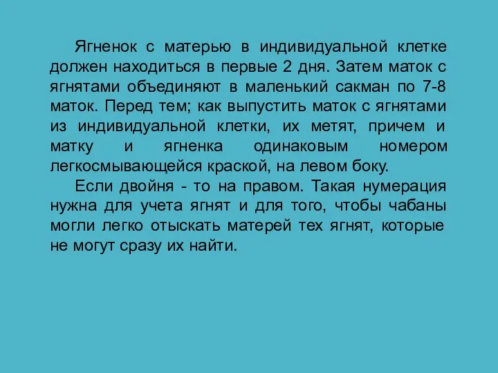 Ягненок с матерью в индивидуальной клетке должен находиться в первые 2 дня.